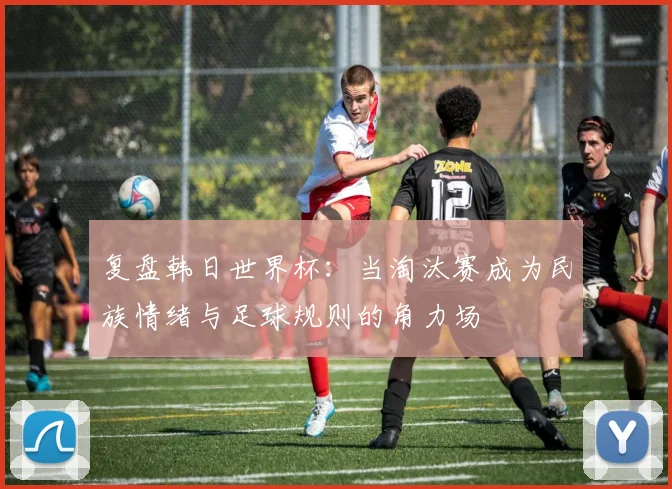 复盘韩日世界杯：当淘汰赛成为民族情绪与足球规则的角力场