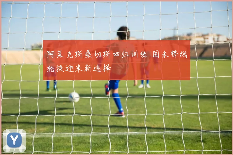 阿莱克斯桑切斯回归训练 国米锋线轮换迎来新选择