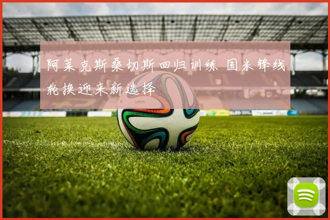 阿莱克斯桑切斯回归训练 国米锋线轮换迎来新选择