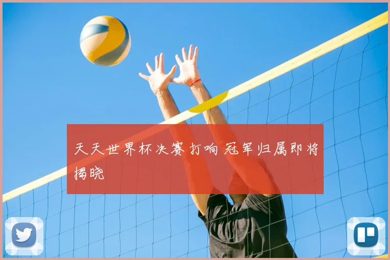 天天世界杯决赛打响 冠军归属即将揭晓