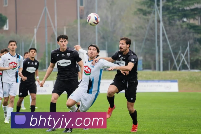 买球官方服务体系